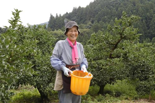 徳島県勝浦郡上勝町ゆず生産者