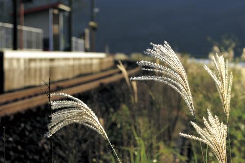  52O9755 1