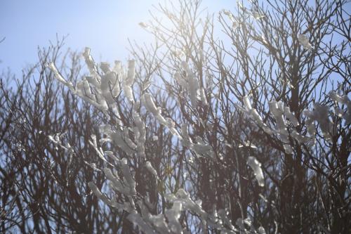 2020年2月4日高知県いの町平家平～冠山