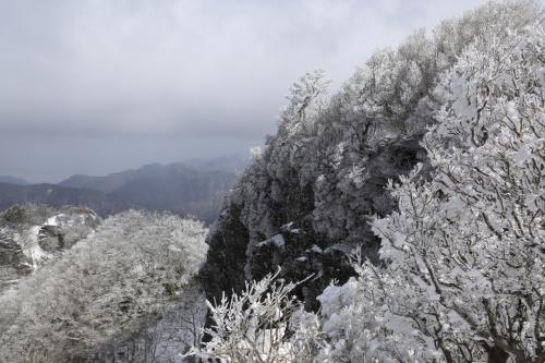 2020年2月10日高知県いの町冠山