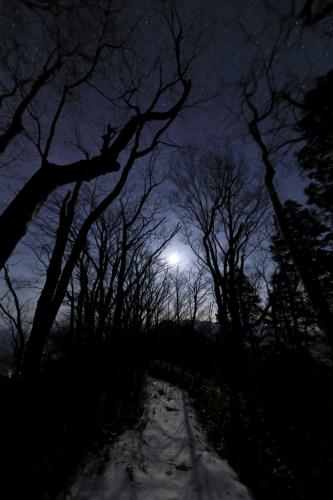 2020年3月18日高知県いの町平家平登山道