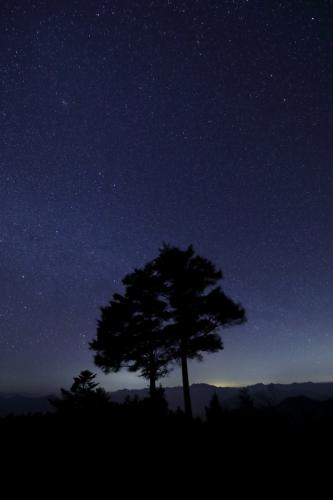 2019年2月高知県いの町鷹羽ケ森